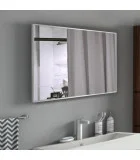 Mirror ALP Alum 700х500 mm order